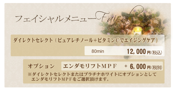 ダイレクトセレクト 価格表