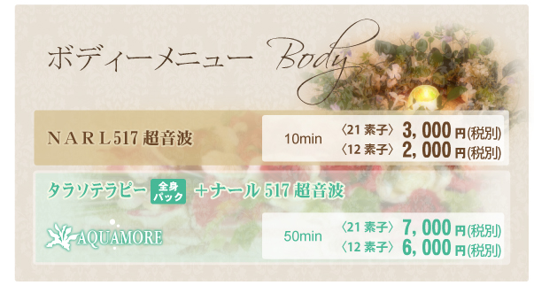 ナール517価格表