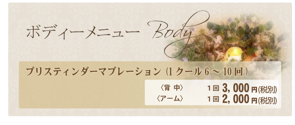 プリスティン価格表