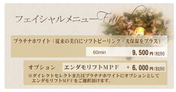プラチナホワイト 価格表